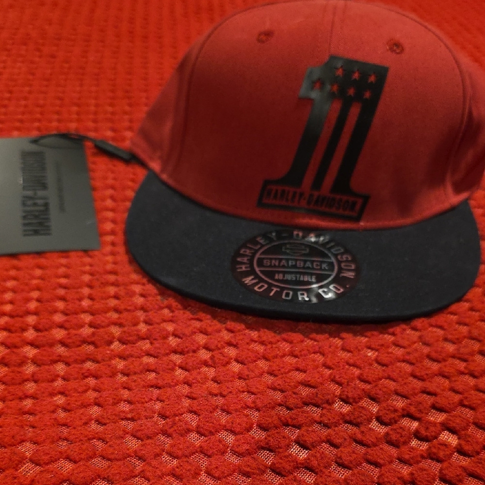 Harley-Davidson Hat, Brand New With Tags